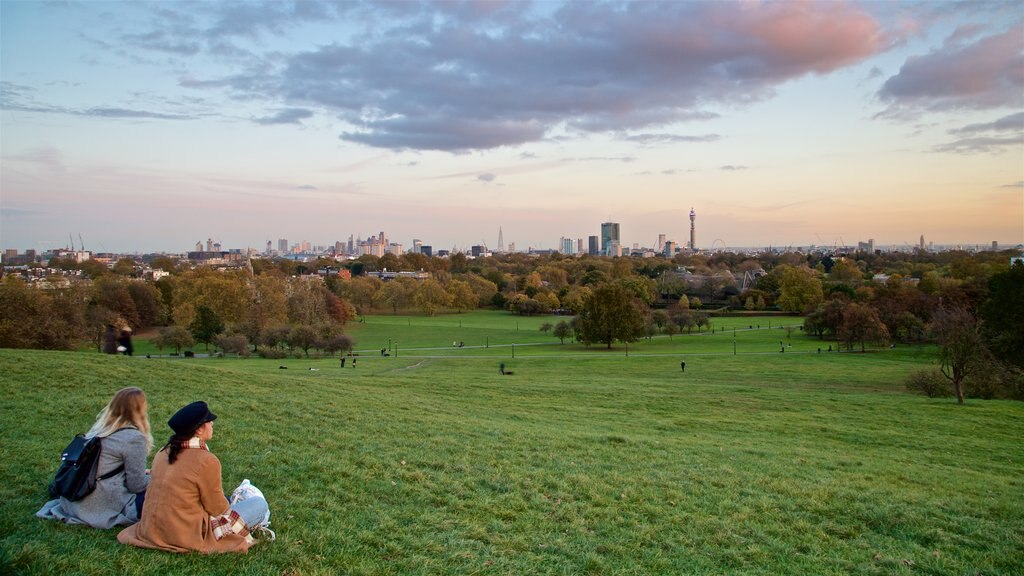 Primrose Hill mostrando vistas de paisajes, una puesta de sol y un jardín