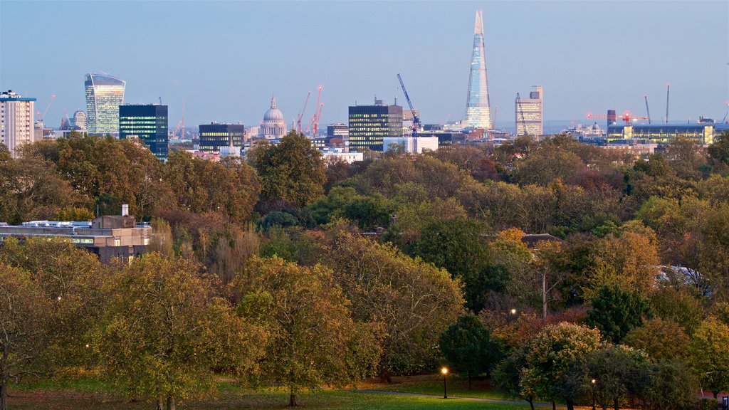 Primrose Hill showing a garden, landscape views and a city