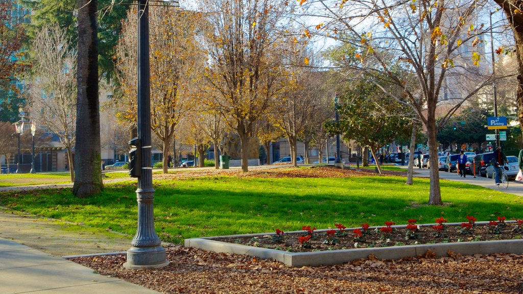 Cesar Chavez Park showing autumn colours and a park