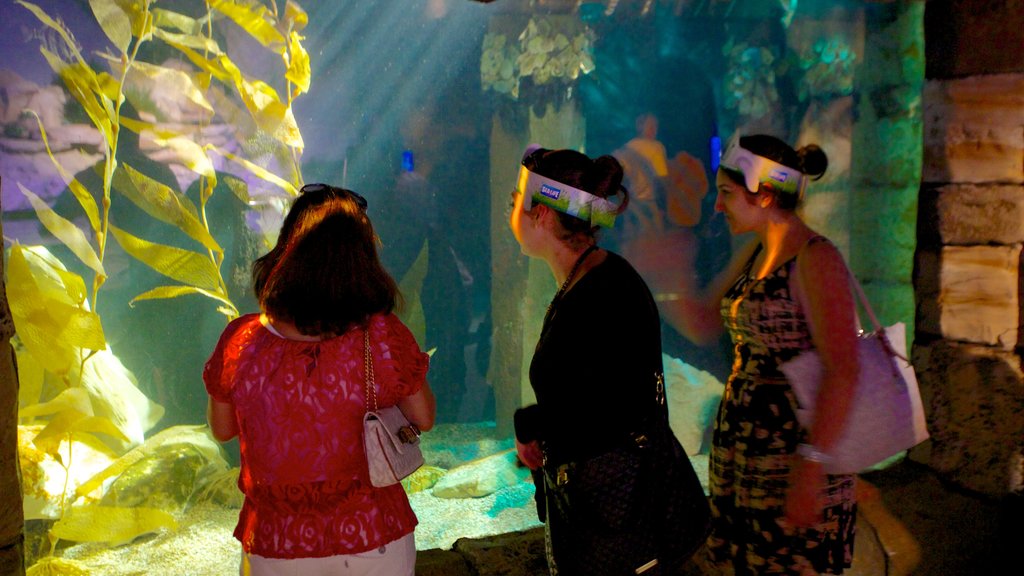 Sydney Aquarium featuring marine life and interior views as well as a small group of people