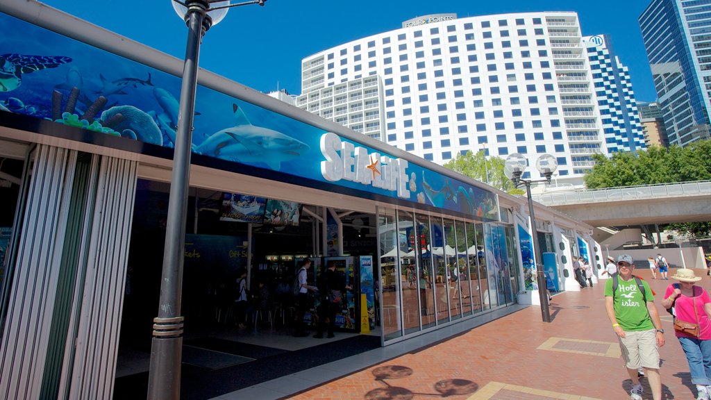 Sydney Aquarium showing marine life and a city as well as a couple