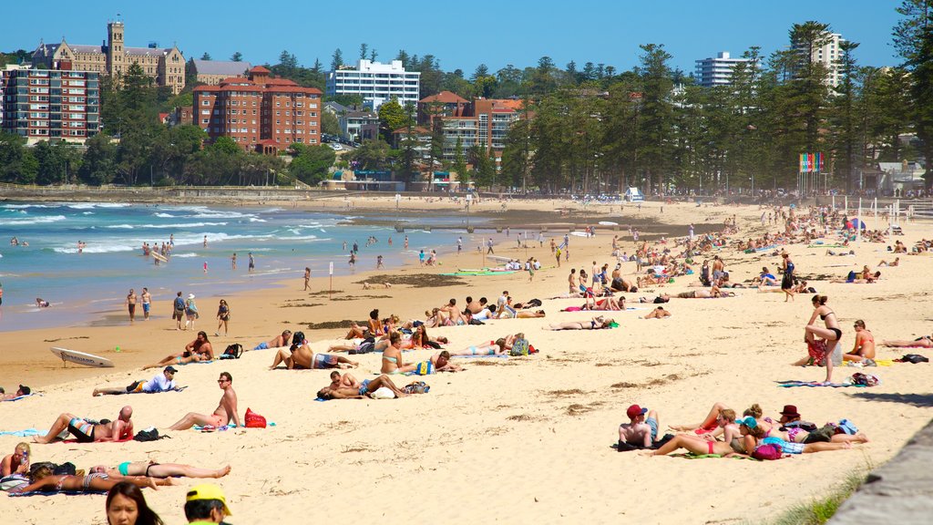 Playa de Manly que incluye escenas tropicales, una playa de arena y natación