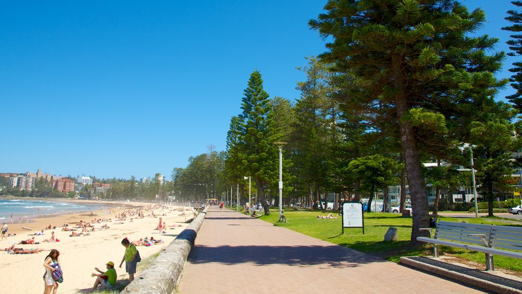 Manly Beach showing a sandy beach and a coastal town