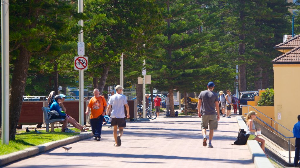 Manly Beach which includes street scenes and a city as well as a small group of people