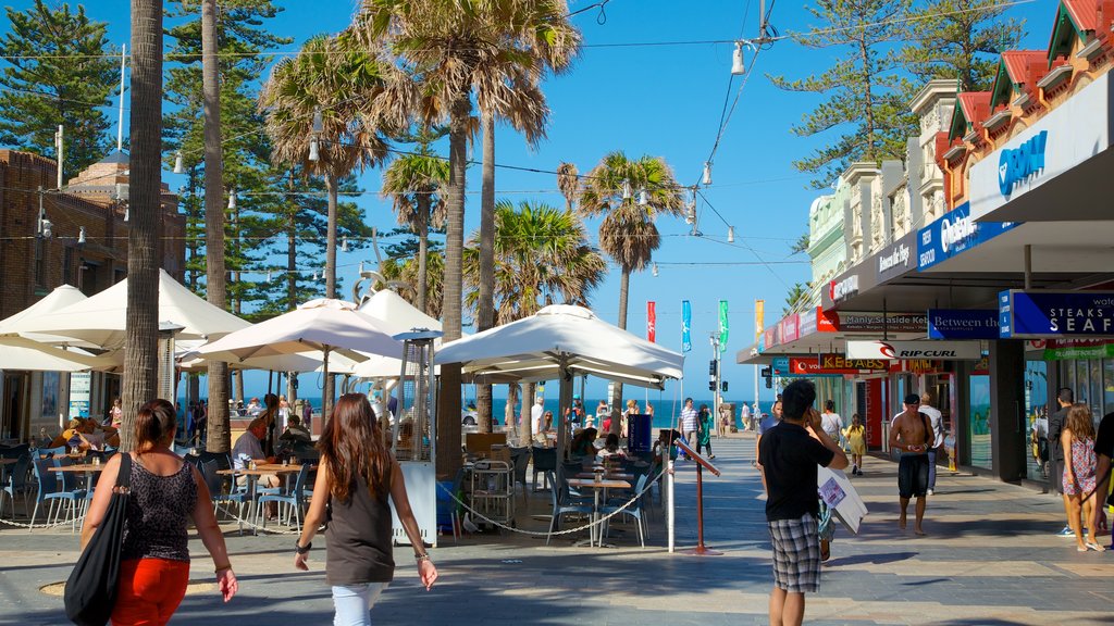 Playa de Manly mostrando escenas tropicales, comidas al aire libre y imágenes de calles