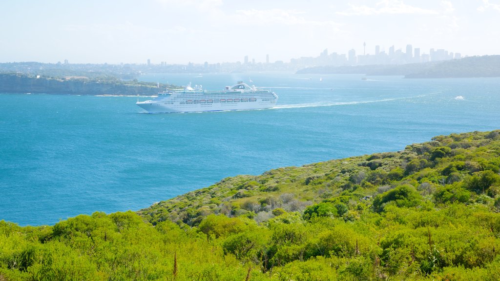 Manly Beach inclusief algemene kustgezichten, een veerboot en cruises