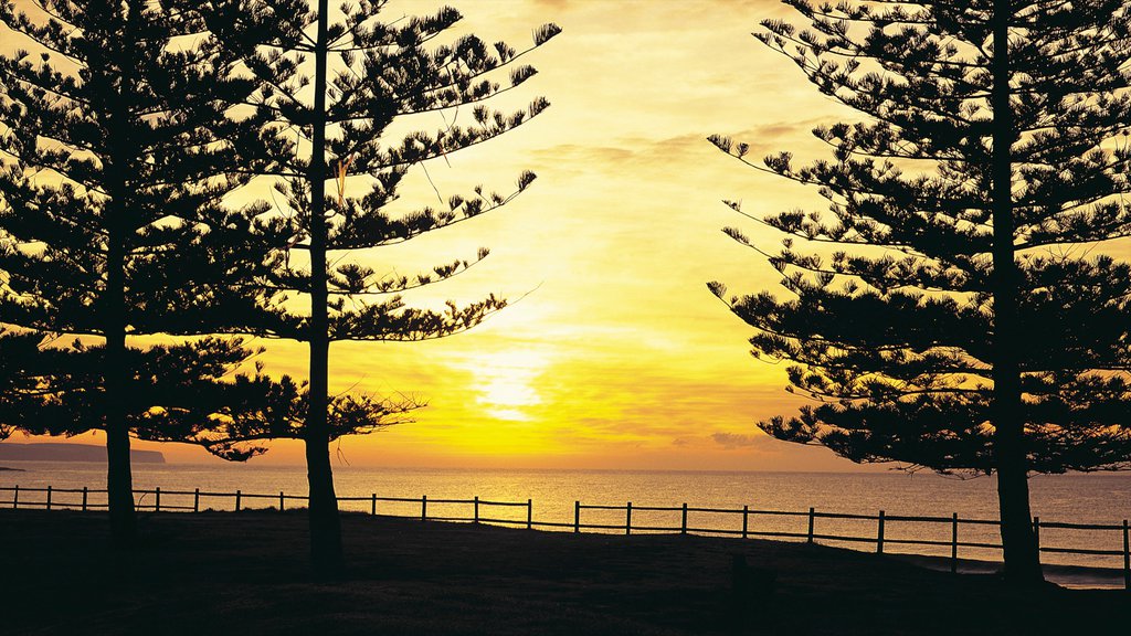 Manly Beach mit einem Sonnenuntergang, allgemeine Küstenansicht und Landschaften