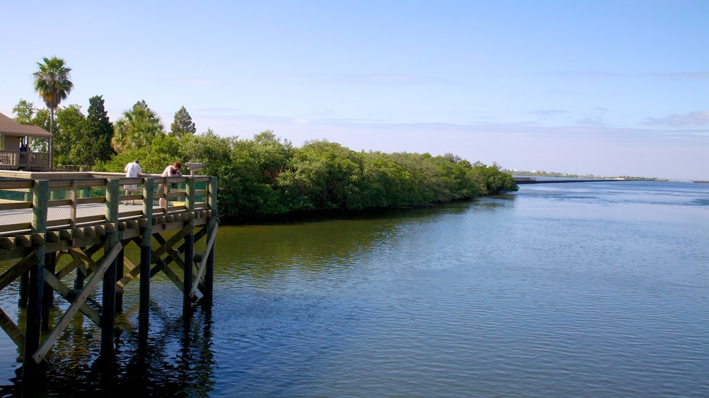 Manatee Viewing Center showing a bay or harbor, general coastal views and views