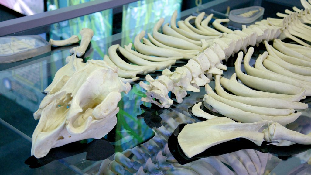 Manatee Viewing Center featuring interior views