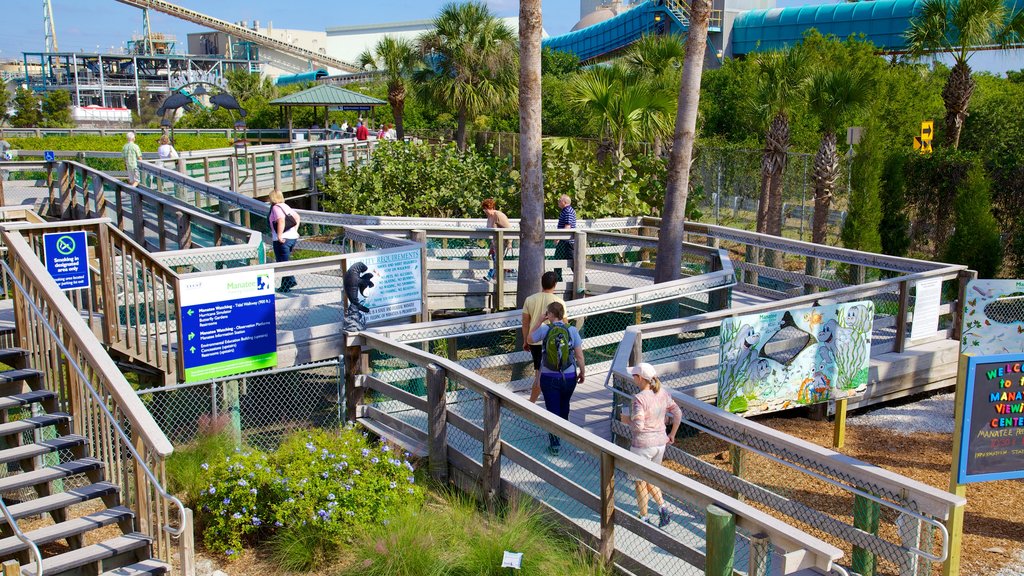 Manatee Viewing Center which includes views and modern architecture