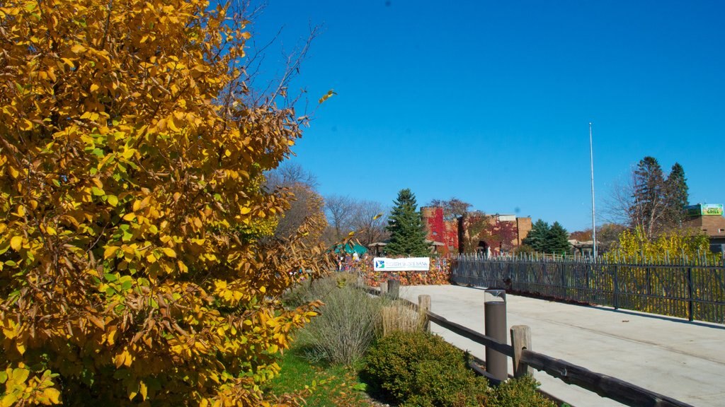 Racine Zoological Gardens showing autumn leaves, zoo animals and a garden