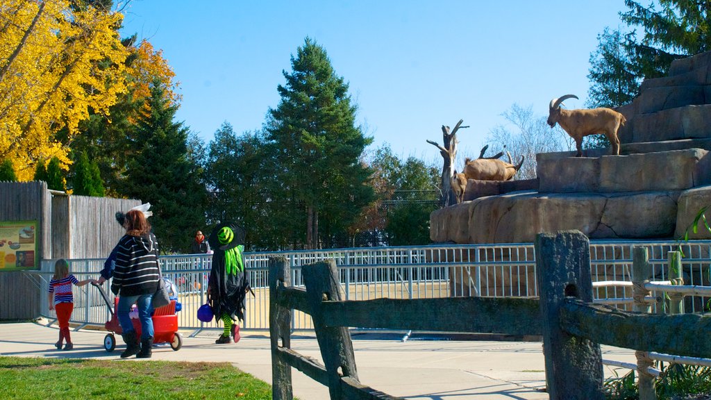 Racine Zoological Gardens featuring zoo animals and a park as well as a family