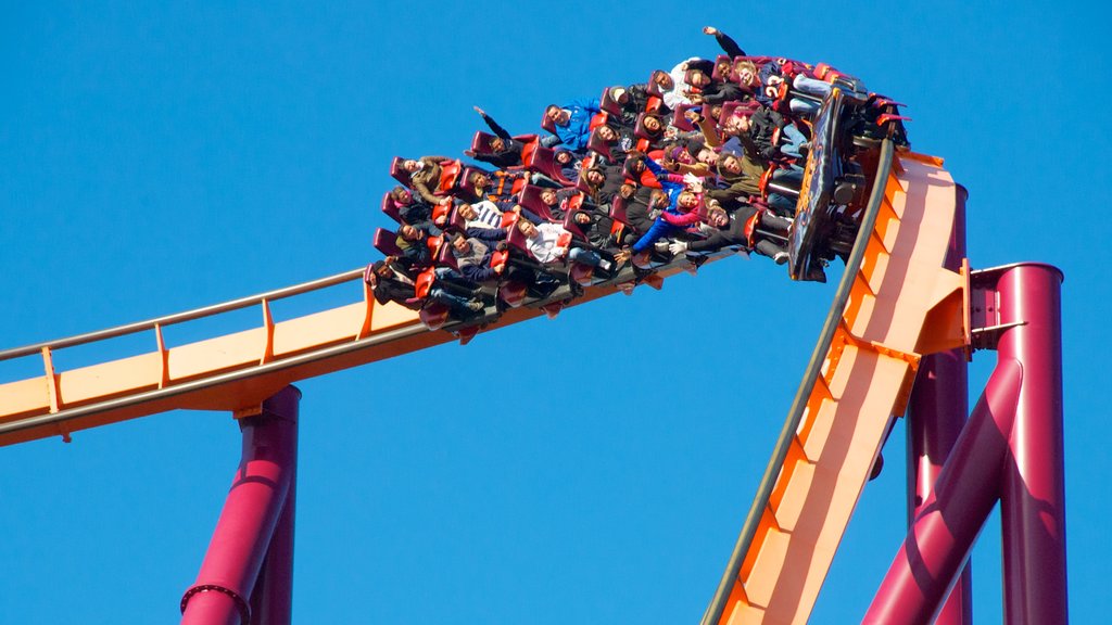 Six Flags Great America som viser forlystelser