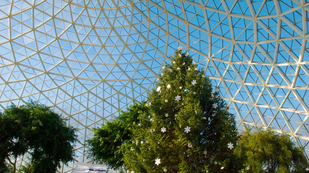 Mitchell Park Horticultural Conservatory mostrando vistas interiores