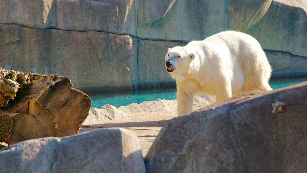 Zoo del condado de Milwaukee que incluye animales del zoológico y animales terrestres