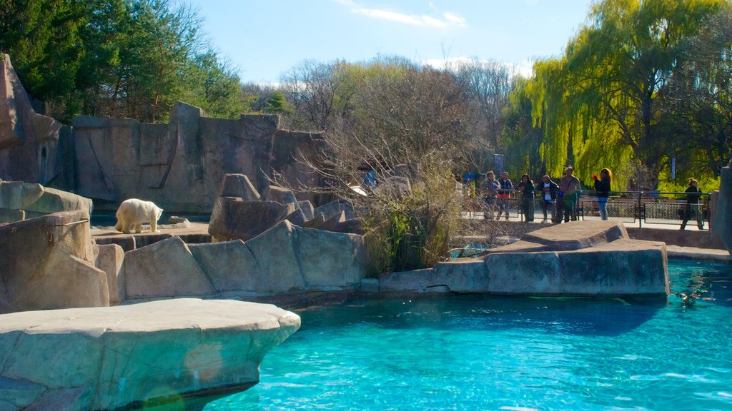 Milwaukee County Zoo featuring eläintarhan eläimet