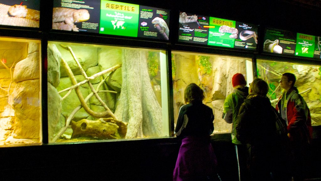 Zoo del condado de Milwaukee que incluye vistas interiores y animales del zoológico y también un pequeño grupo de personas