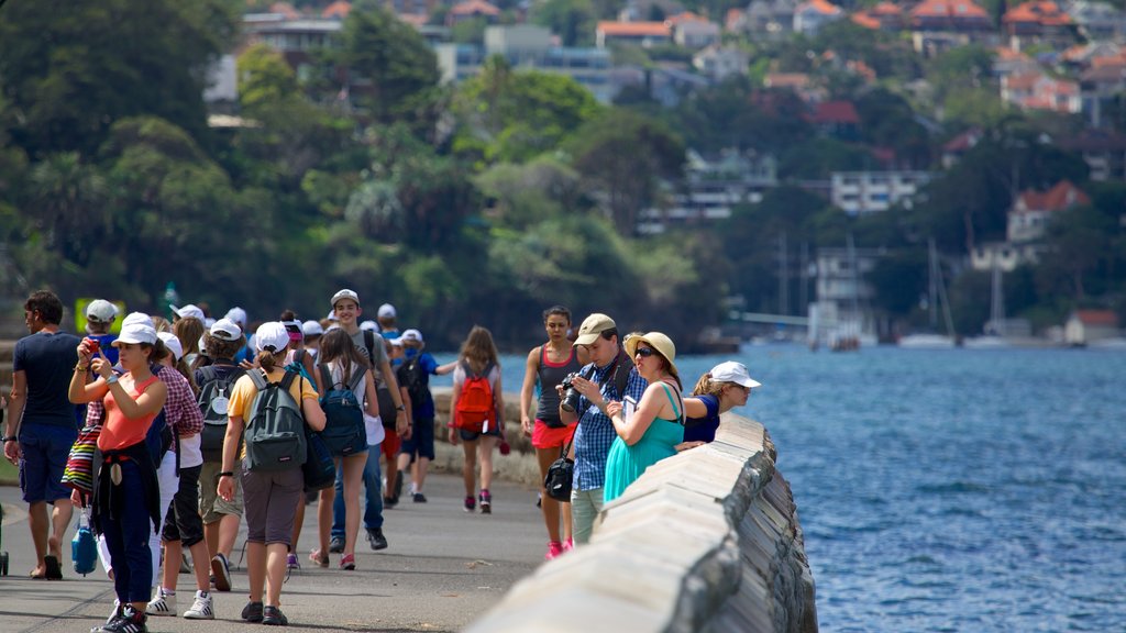 Royal Botanic Gardens showing a bay or harbour as well as a large group of people