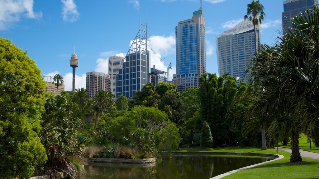 Jardins botaniques royaux de Sydney montrant mare, parc et architecture moderne