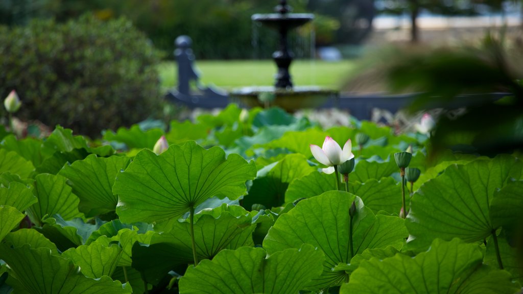 Real Jardín Botánico ofreciendo flores