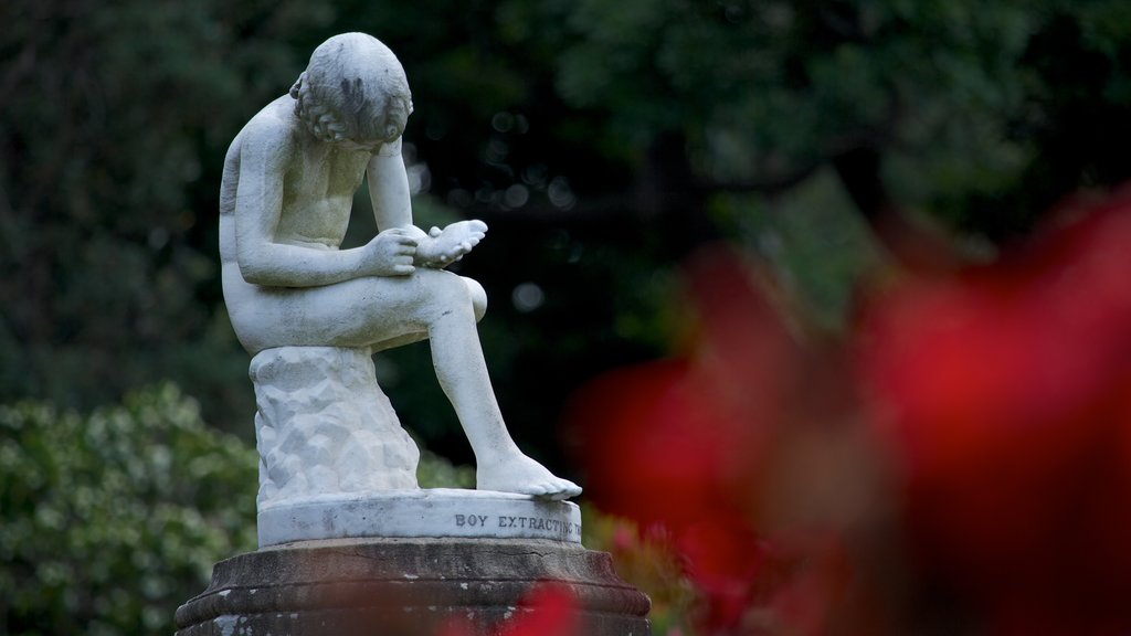 Jardins botaniques royaux de Sydney mettant en vedette jardin, monument et statue ou sculpture