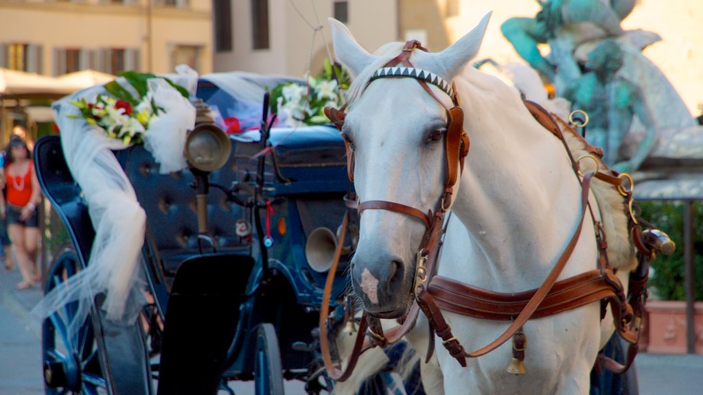 Piazza della Signoria featuring land animals