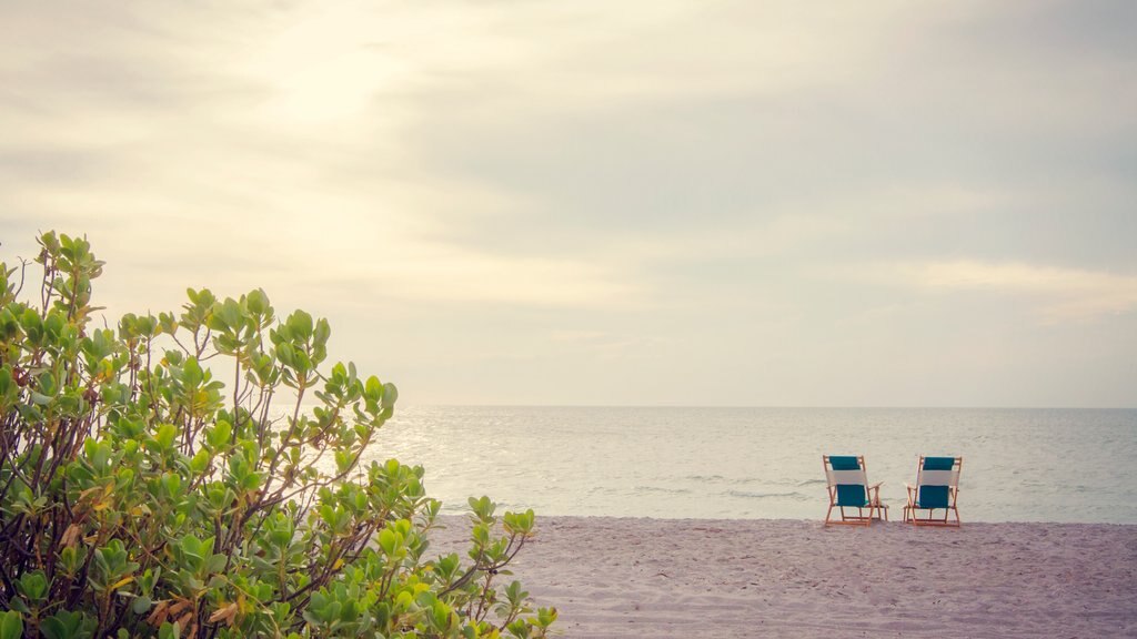 Fort Myers som viser en strand