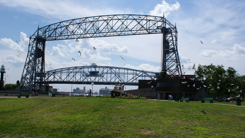 Duluth showing a park