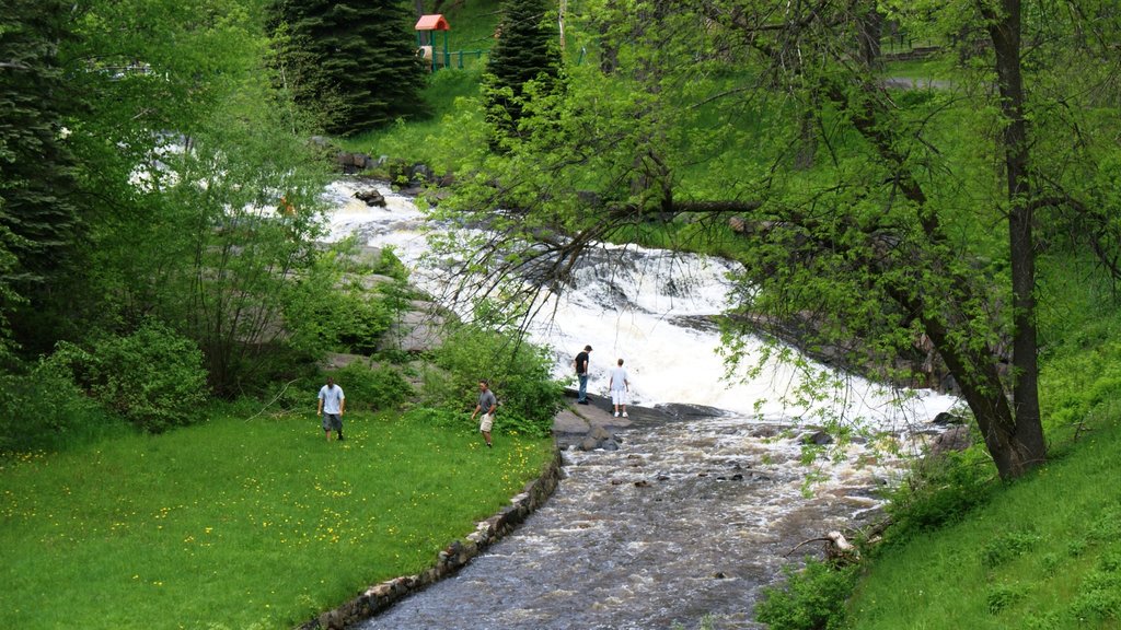 Duluth qui includes paysages paisibles, randonnée ou marche et un jardin