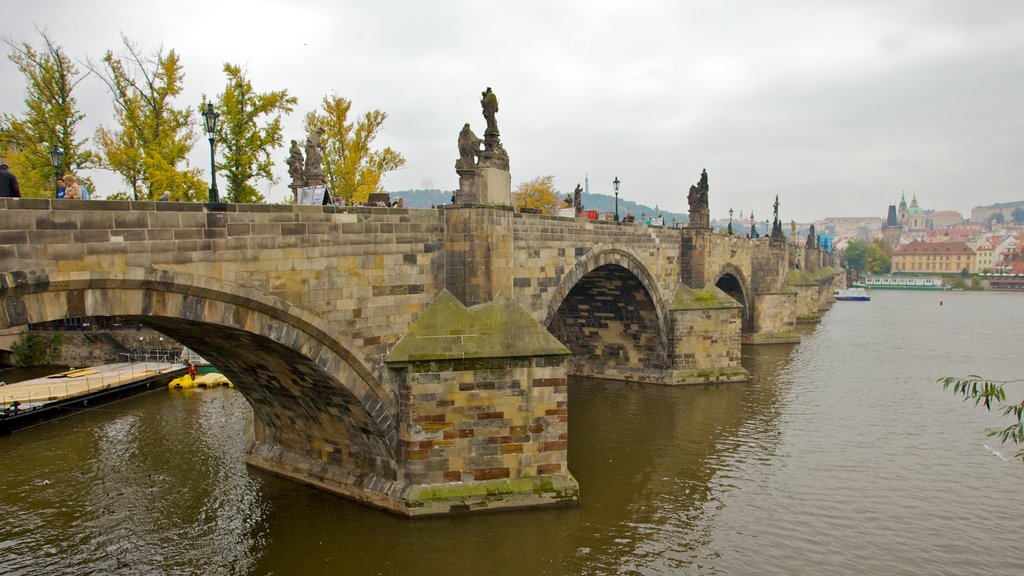 Charles Bridge showing a city, a monument and heritage architecture