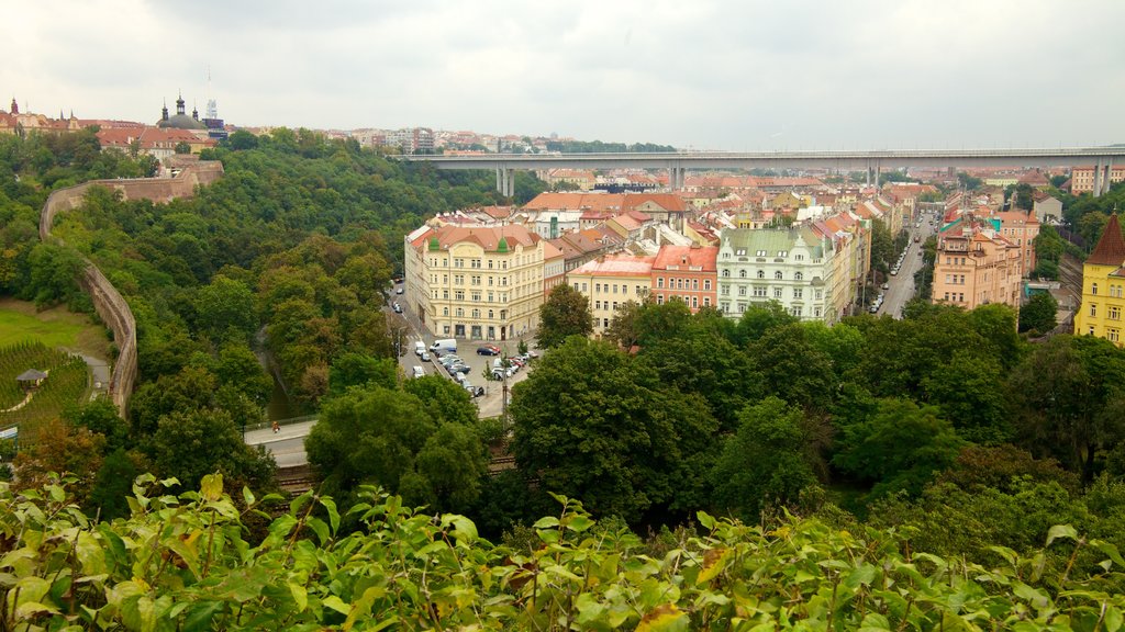 Vysehrad-slottet fasiliteter samt historisk arkitektur og by