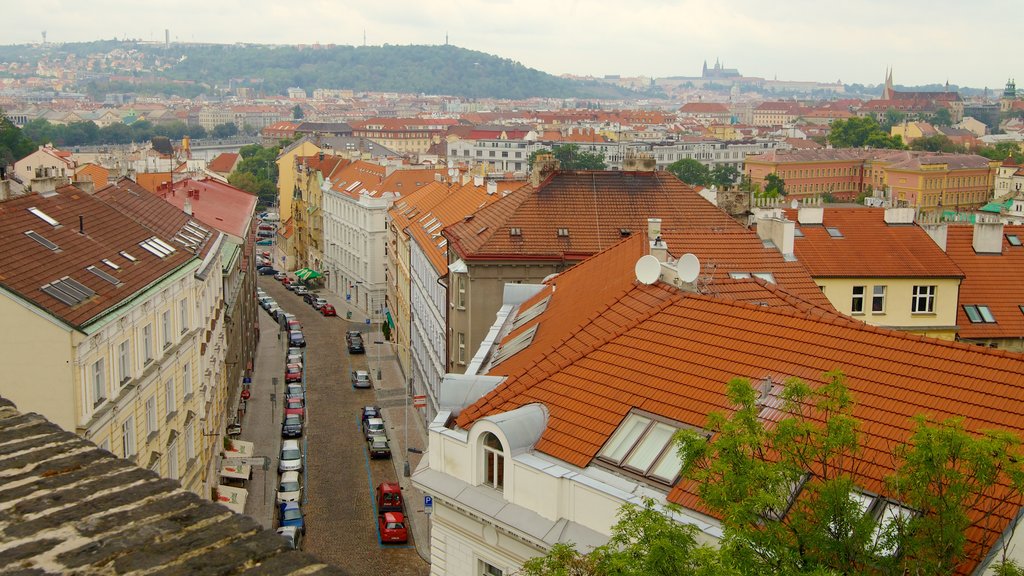 Vysehrad Castle showing a castle, a city and heritage architecture