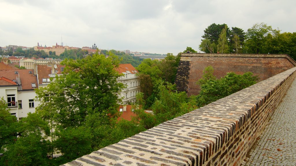 Castillo de Vysehrad ofreciendo castillo o palacio, arquitectura patrimonial y una pequeña ciudad o aldea