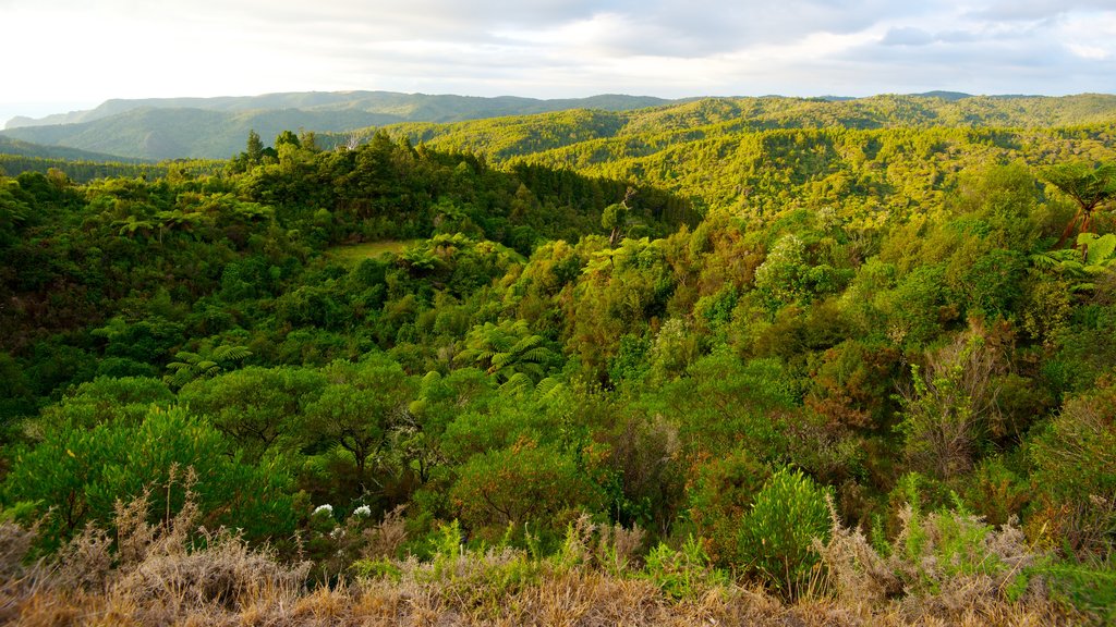 Waitakere Ranges que inclui um jardim, florestas e paisagem