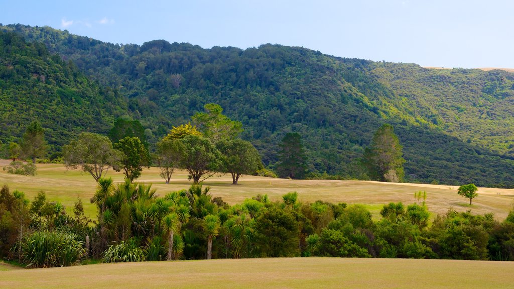 Waitakere Ranges que incluye bosques y vista panorámica