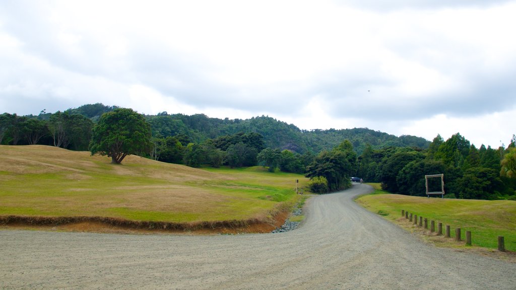 Waitakere Ranges inclusief landschappen en vredige uitzichten