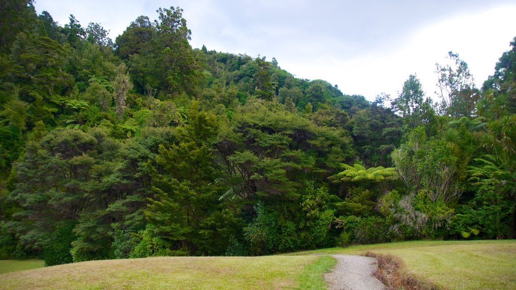 Waitakere Ranges yang mencakup alam belantara dan pemandangan lanskap