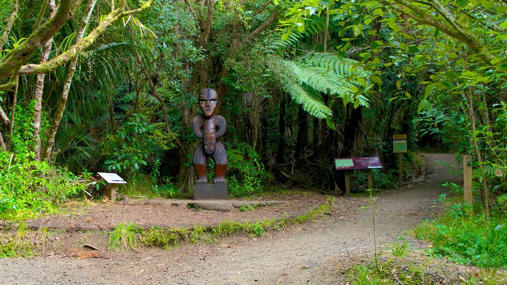 Waitakere Ranges ofreciendo jardín, arte al aire libre y imágenes de bosques