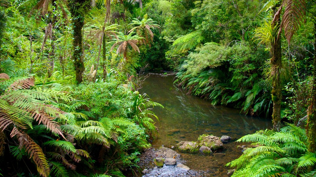 Waitakere Ranges caratteristiche di giardino e vista del paesaggio