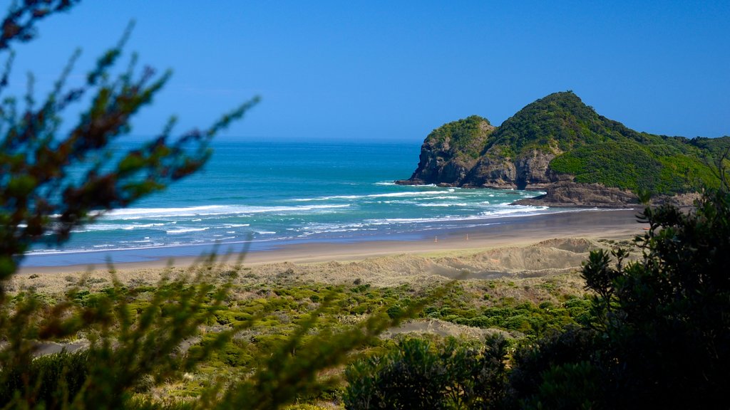 Bethells Beach ofreciendo vista general a la costa y vista panorámica