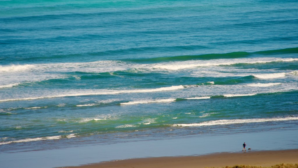 Bethells Beach which includes landscape views, tropical scenes and a sandy beach