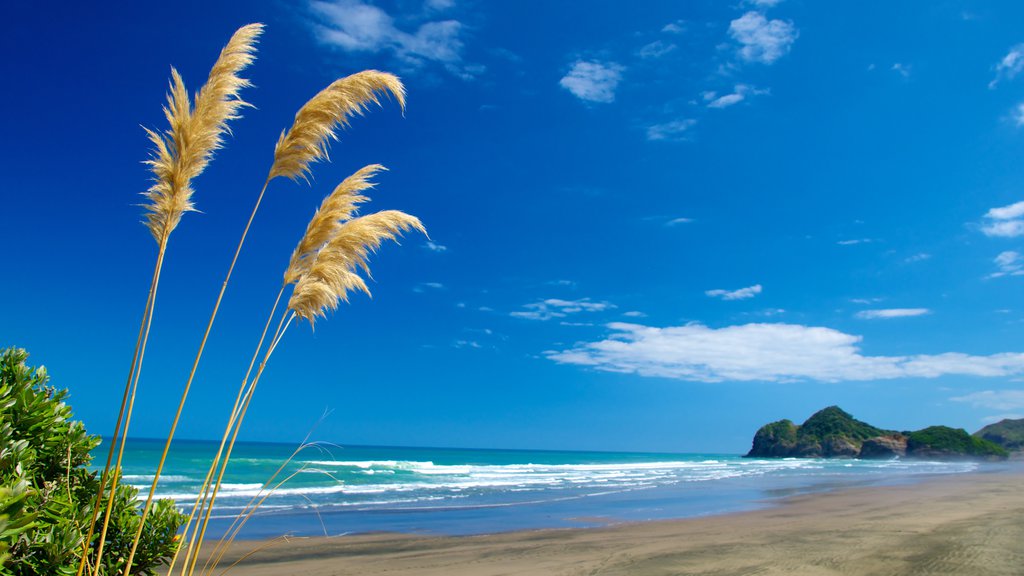 Bethells Beach showing tropical scenes, a beach and landscape views