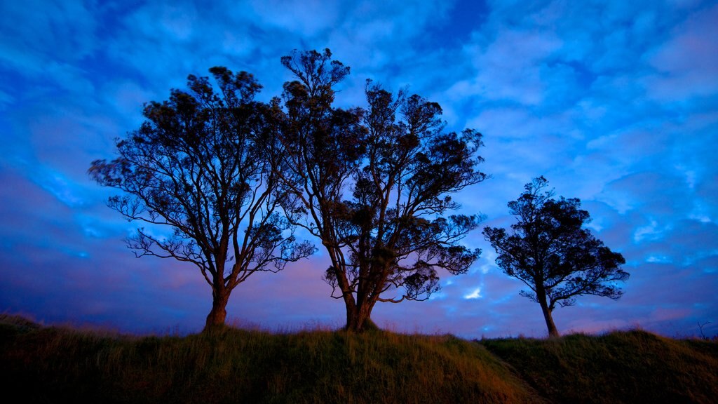 Mt. Eden showing landscape views and night scenes