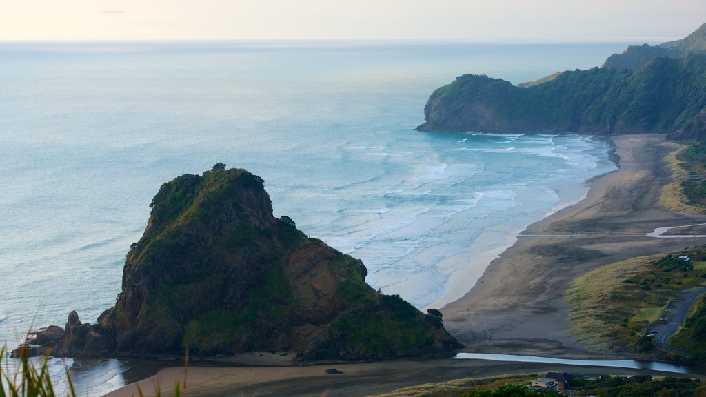 Piha Beach showing a beach, tropical scenes and landscape views