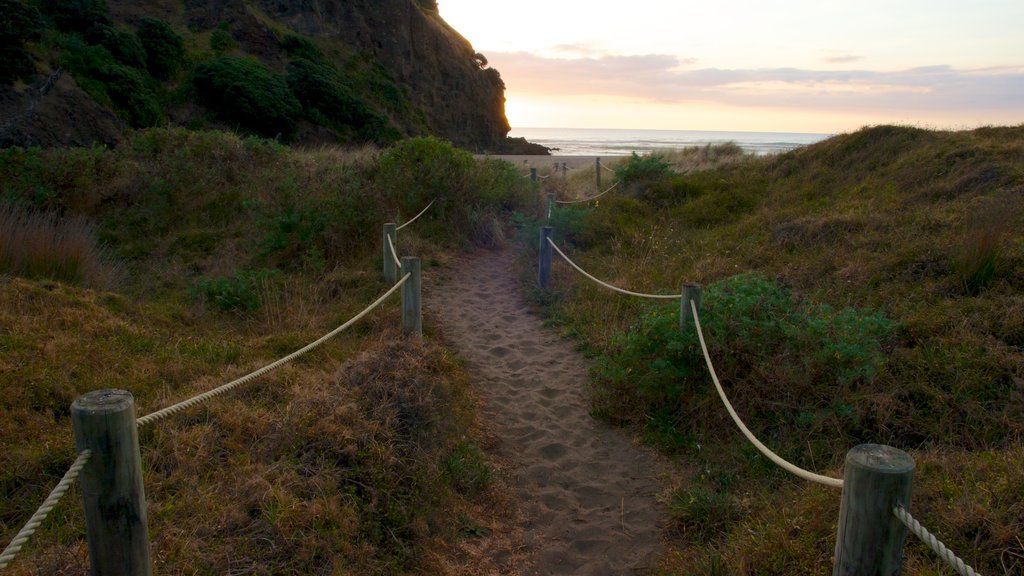 Piha Beach inclusief een zandstrand en landschappen