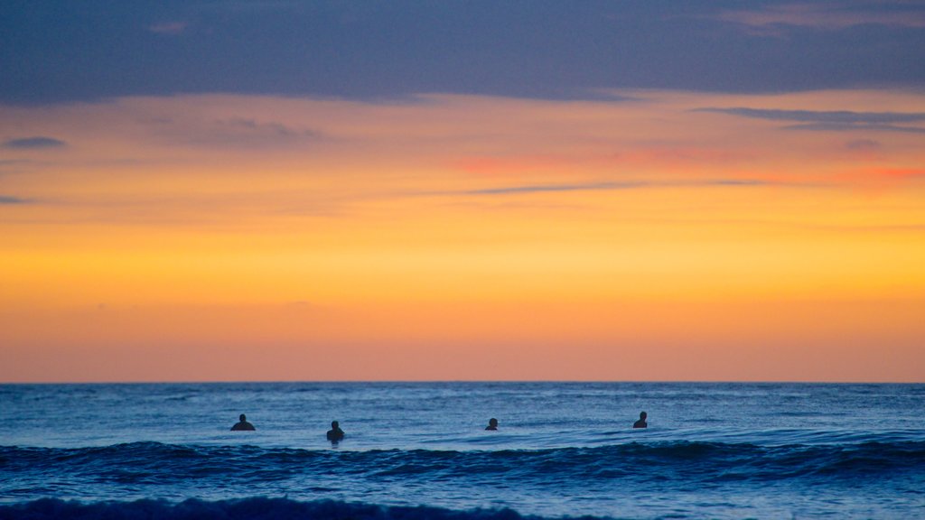 Piha Beach featuring swimming, a sunset and a sandy beach