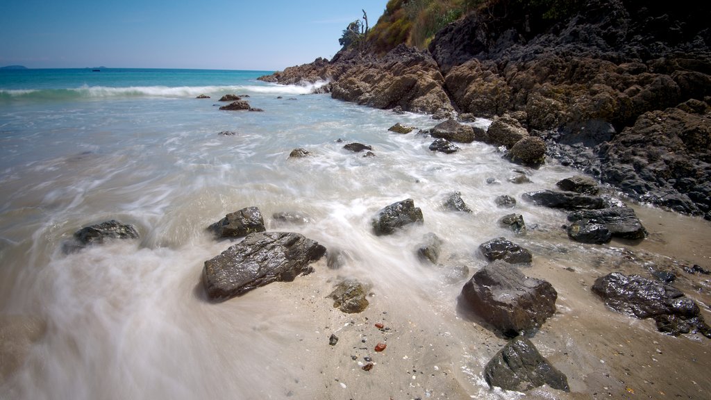 パーム ビーチ どの含み 自然の風景, 砂浜 と 荒々しい海岸線