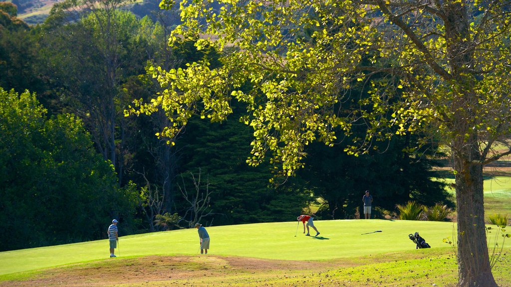 Auckland Domain showing golf, a park and landscape views