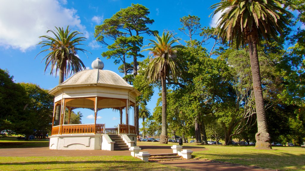 Auckland Domain showing a garden