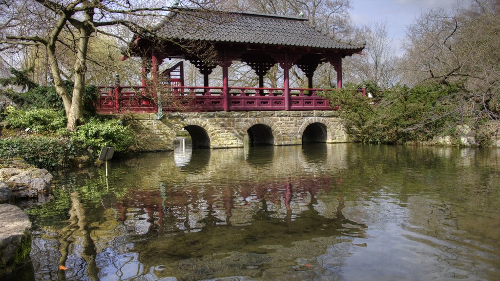 Leverkusen showing a bridge and a pond